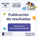 plantilla resultados_Mesa de trabajo 1